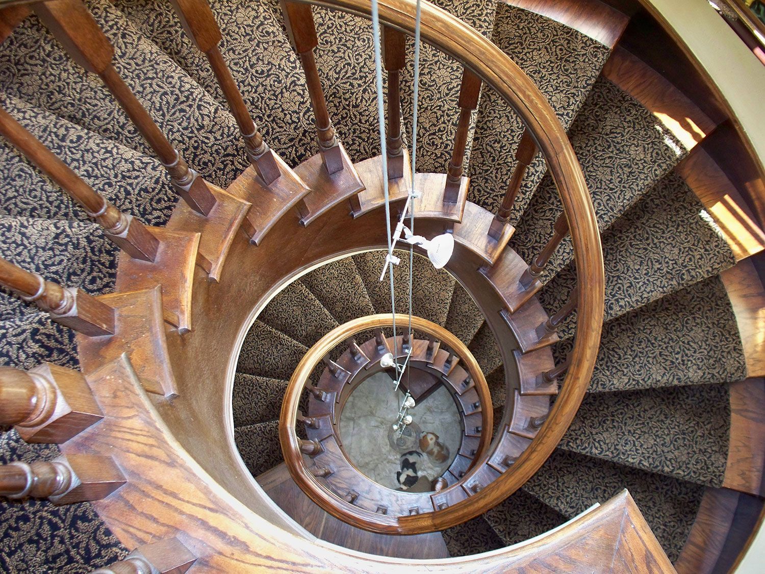 Spiral staircase with brown wooden steps and a patterned carpet, viewed from above.