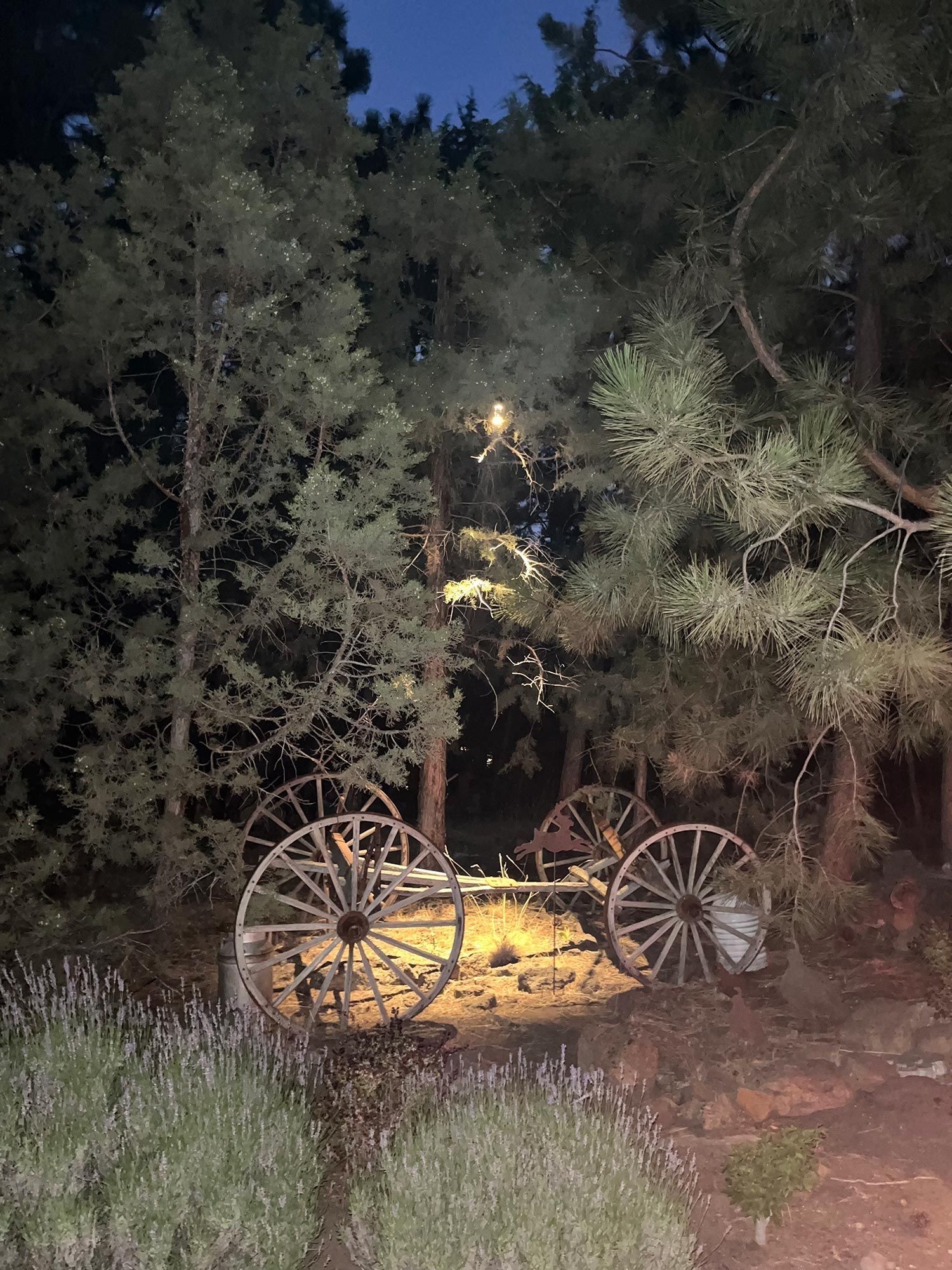 Old wooden wagon wheels in a dimly lit forest at dusk.