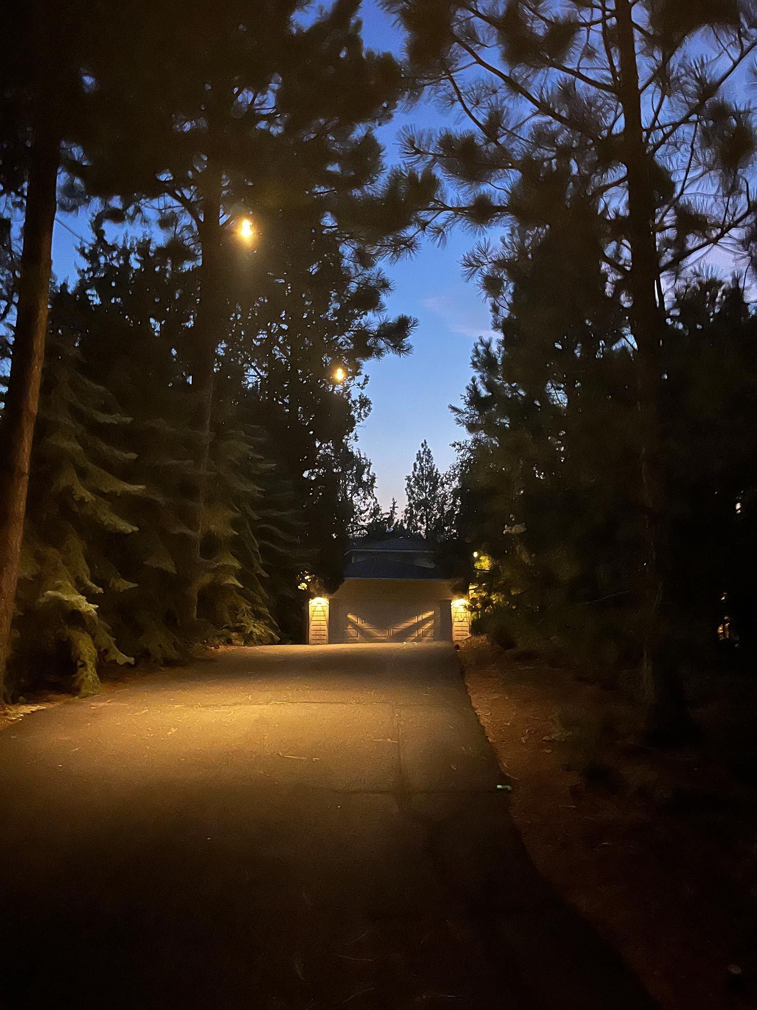 Road at dusk, lined by tall trees, leading to a lit structure under a blue sky.