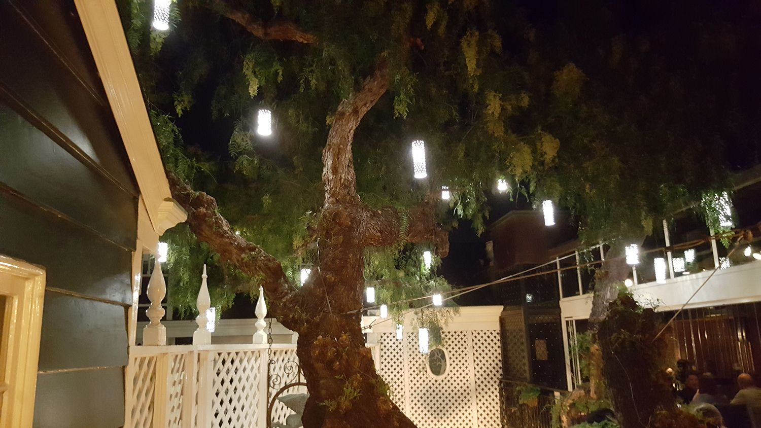 Tree decorated with hanging lights at night; white fence and building in the background.