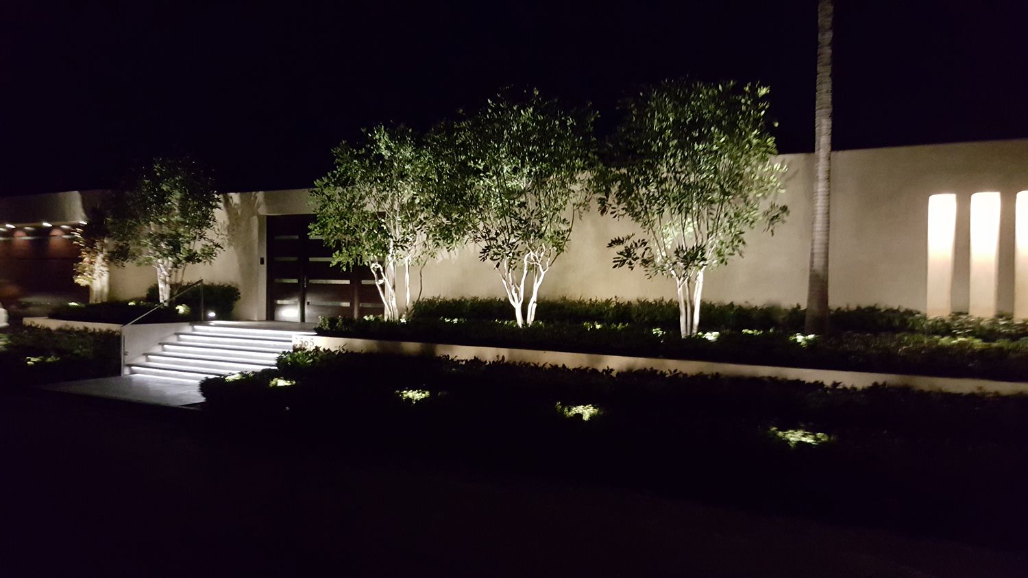 Nighttime view of landscaped entrance with illuminated trees and low garden lights.
