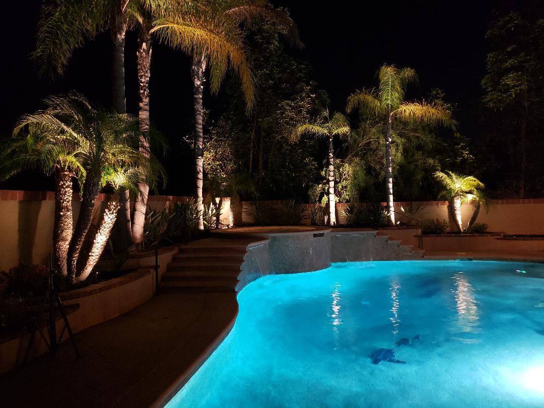 Nighttime view of a pool with palm trees and up-lighting, illuminating the water and surrounding landscaping.
