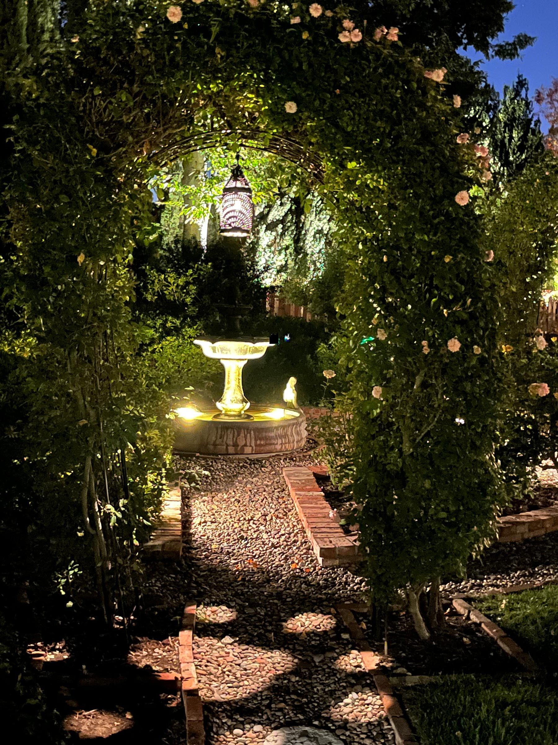 Stone path leads through an archway of roses to a fountain in a garden, lit at night.