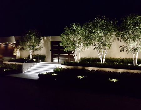 Night view of a modern home with up-lit trees and steps, fronted by neatly trimmed shrubs, with soft lighting.