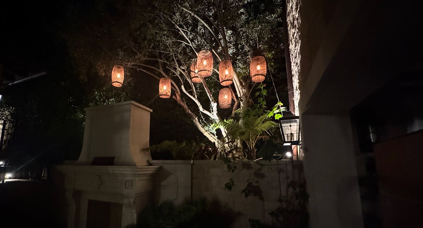 Tree with glowing lanterns; at night, against white wall and structure.