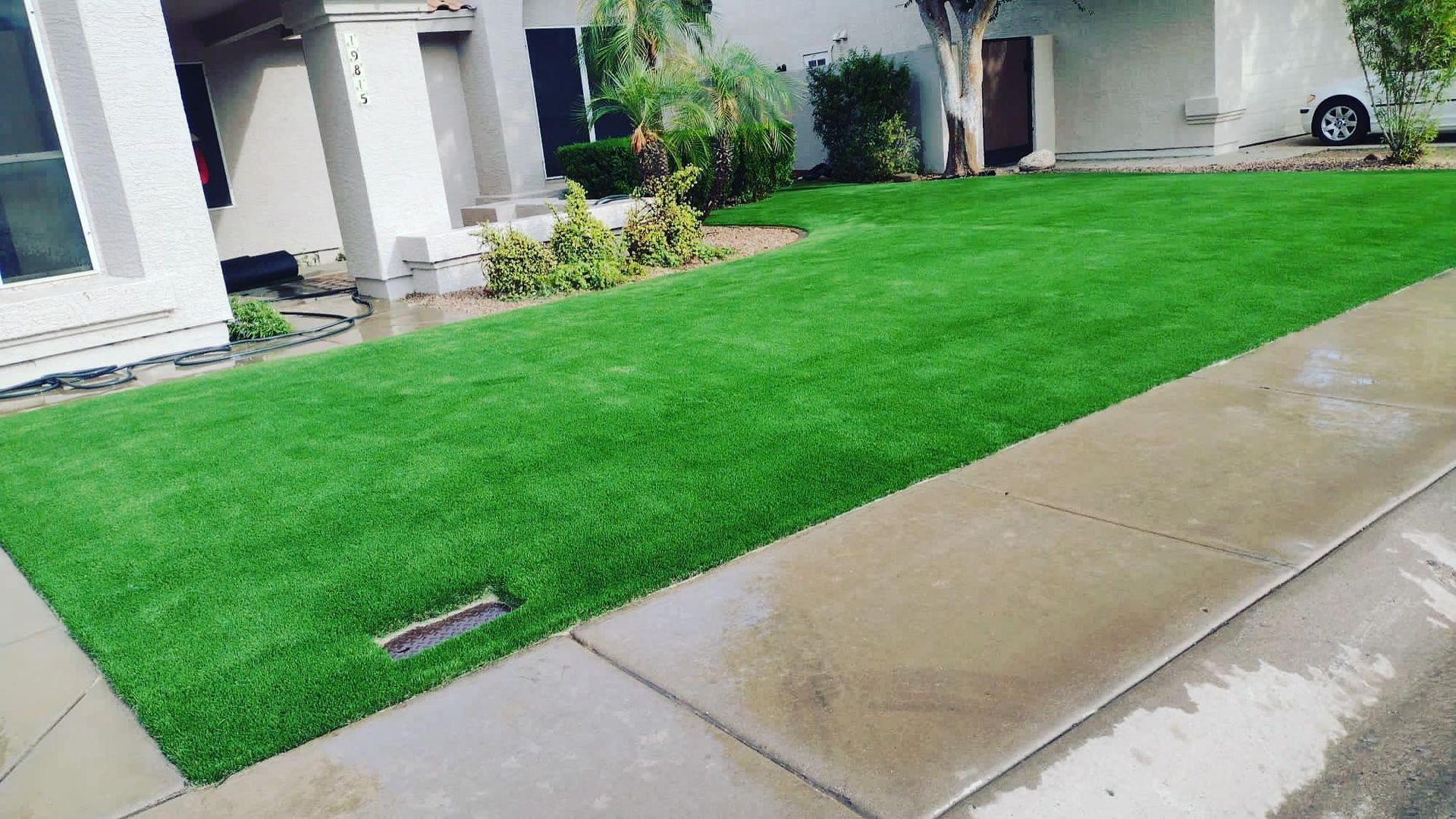 A vibrant, manicured patch of green artificial turf in a suburban front yard next to a concrete sidewalk.