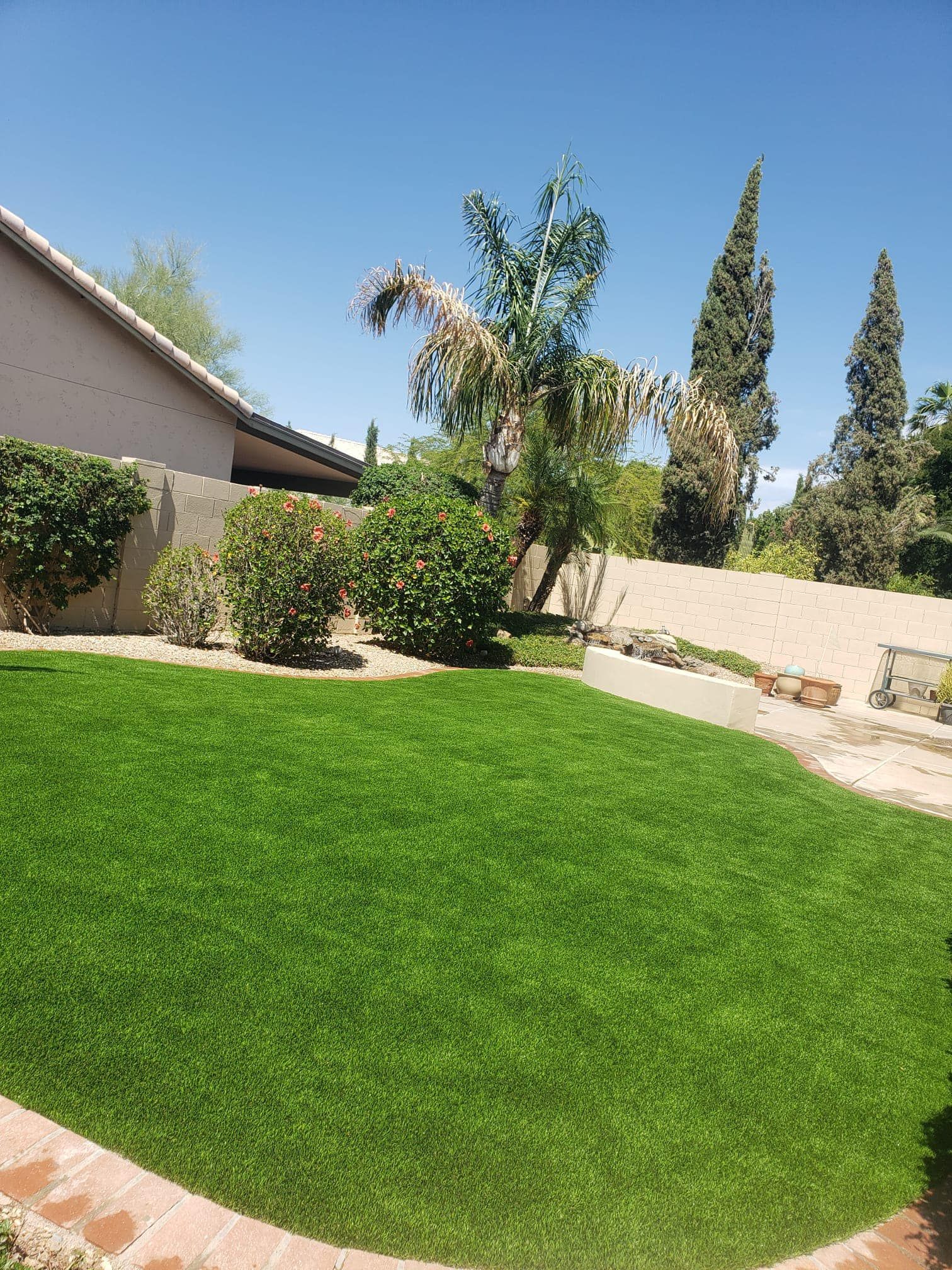 A vibrant green lawn in a backyard framed by shrubs, a palm tree, tall pine-like trees, and a beige wall under a blue sky.