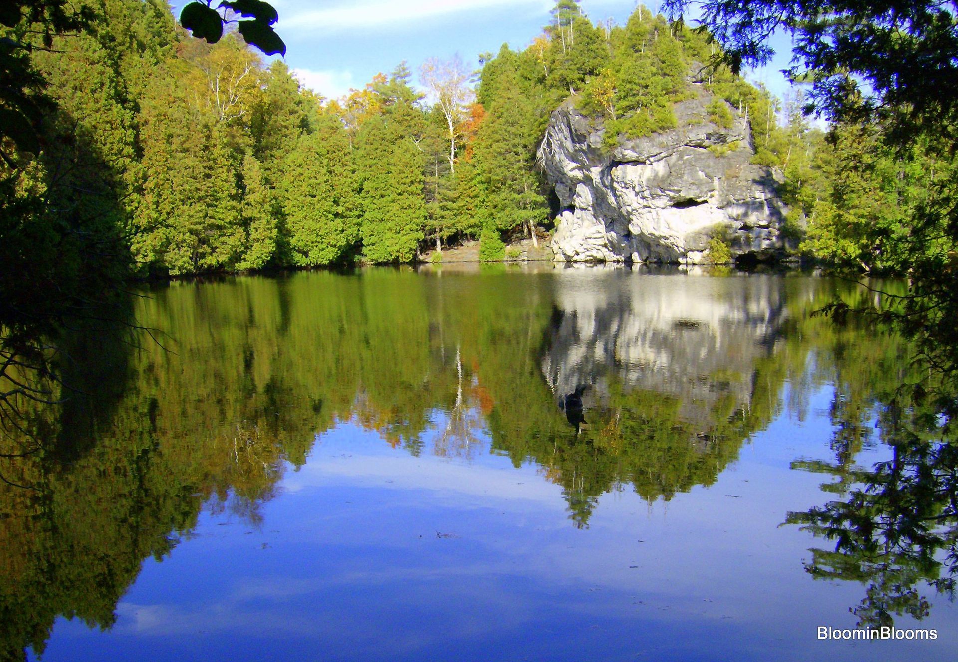 A large rock is reflected in a lake surrounded by trees at the Rockwood conservation area.