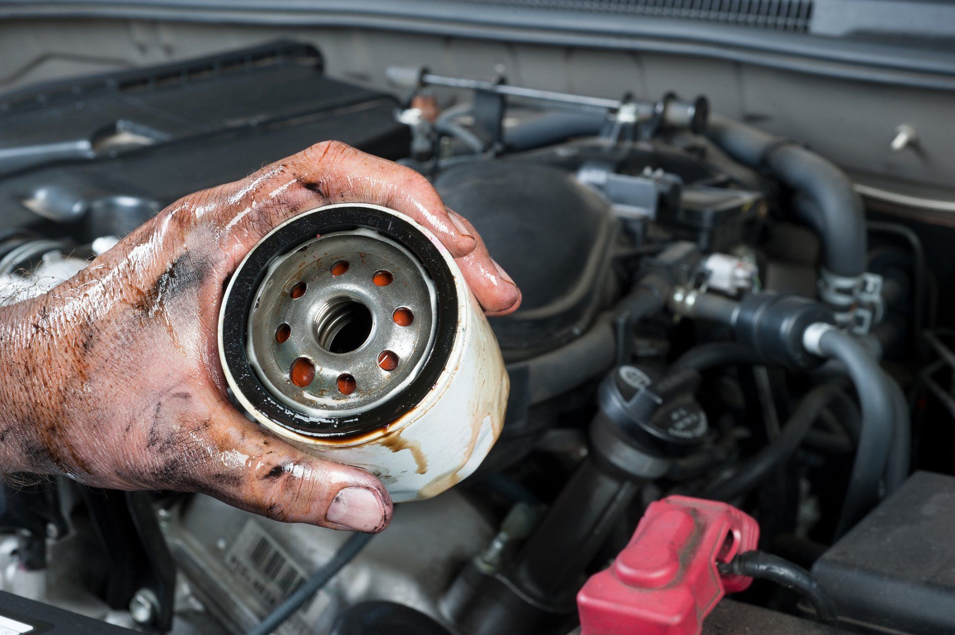 Automotive Services — Auto Mechanic Holding Oil Filter in Lafayette, IN