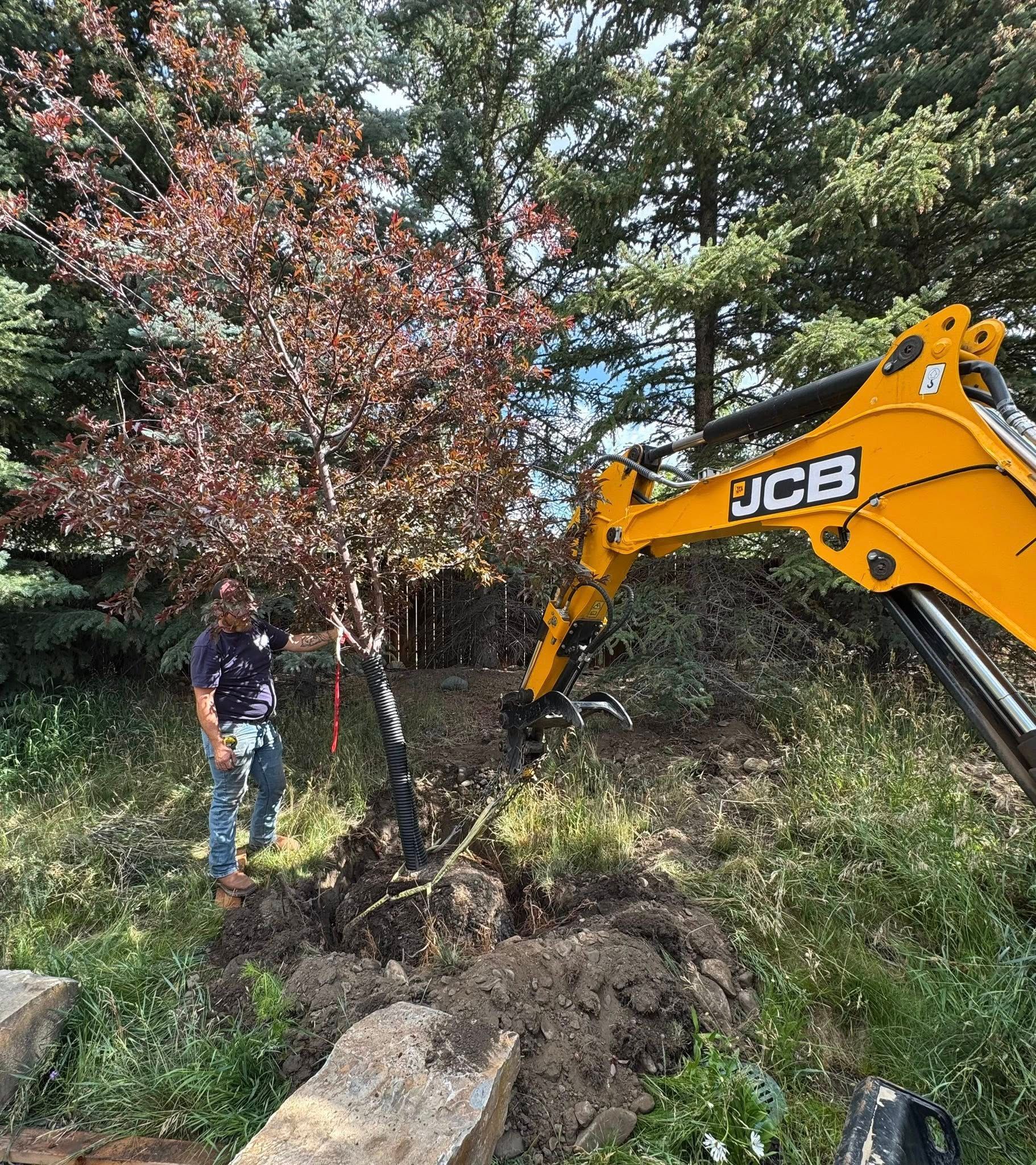 A person watches a JCB excavator digging near a tree on a hillside.