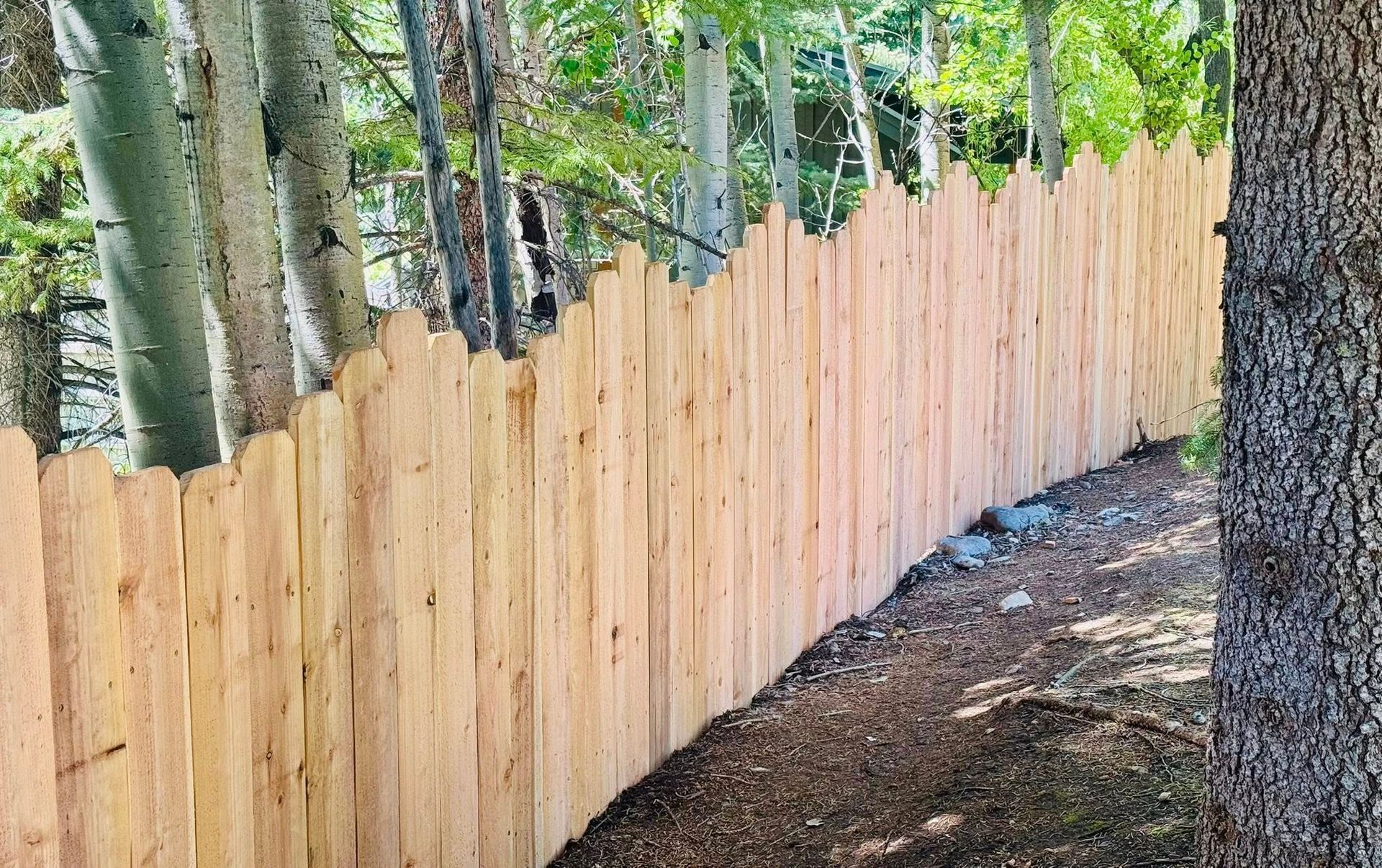 Wooden picket fence curving through a wooded area.