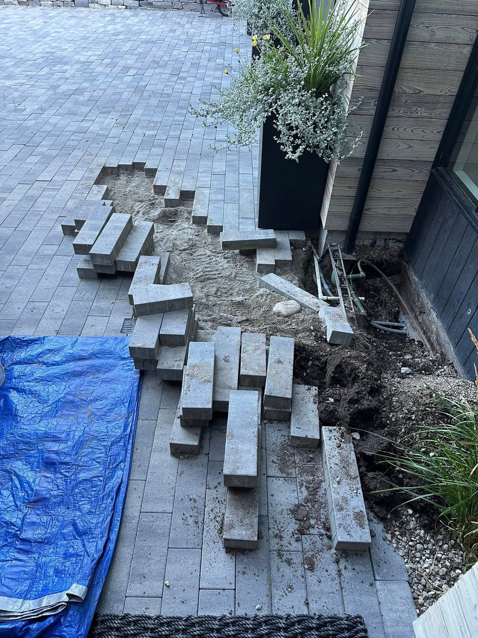 Broken paving stones on a walkway with displaced bricks and exposed soil near a building.