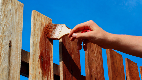 Hand painting a wooden fence with brown stain against a clear blue sky.
