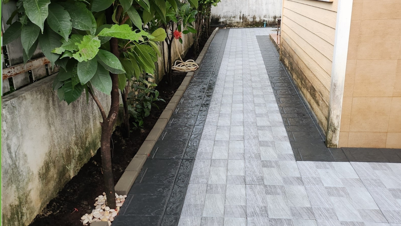 Narrow paved walkway between a building and a planted area with a small tree.
