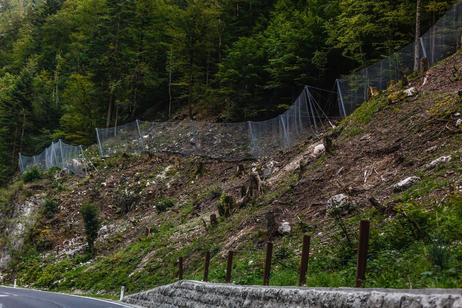 A hillside with a protective wire mesh fence, next to a road, preventing landslides.