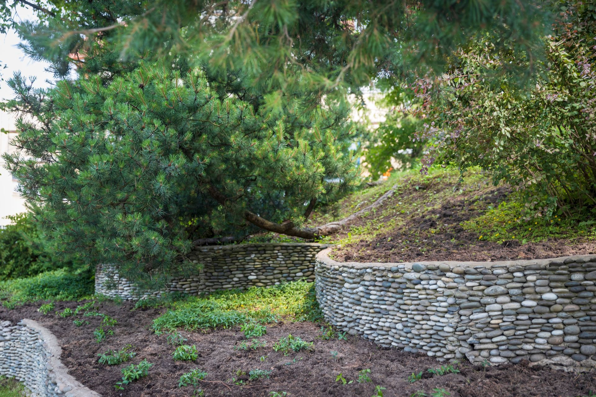 Stone retaining walls on a hillside with lush green trees and foliage in a natural outdoor setting.