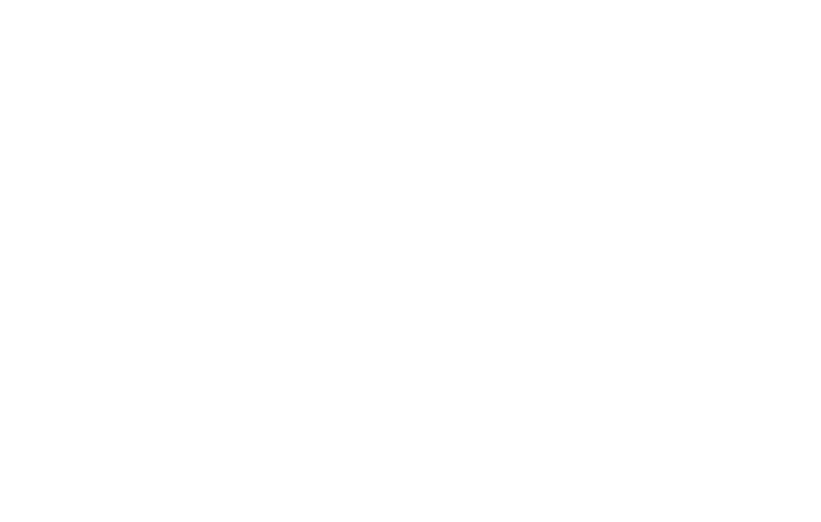 Dyner Controls logo