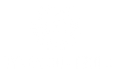 Dyner Controls logo