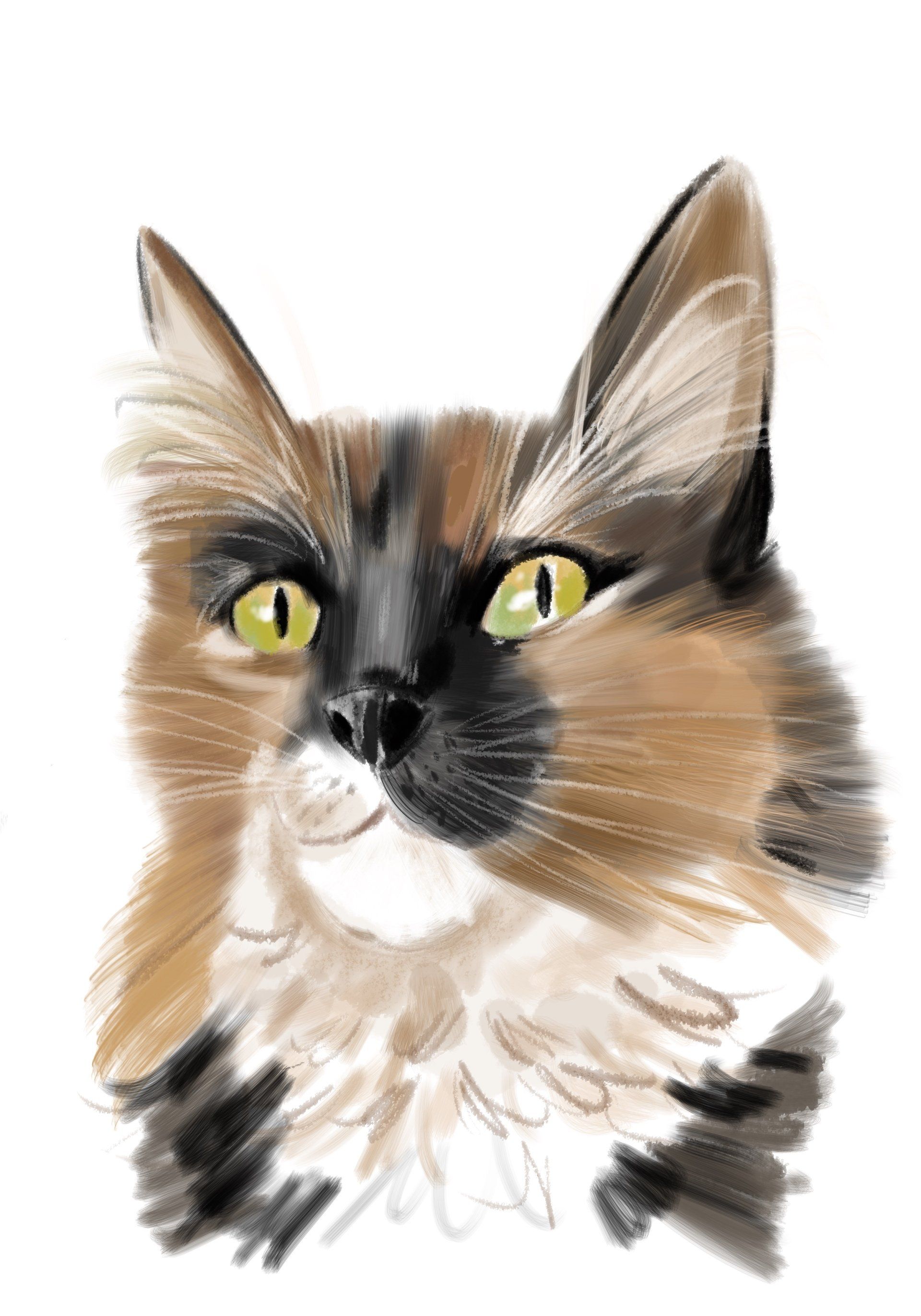 Pet Portraits Australia bring your fury friends to life with original pet drawings from photos.