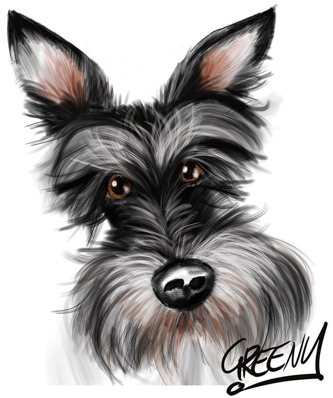 Pet portraits Gallery page-Pet Caricature Have Your Pets Drawn | Personalised Pet Portraits