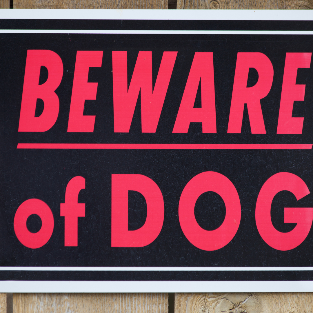 Beware of Dog sign on a new fence