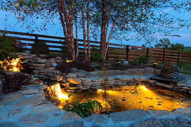 landscaped pond with light features