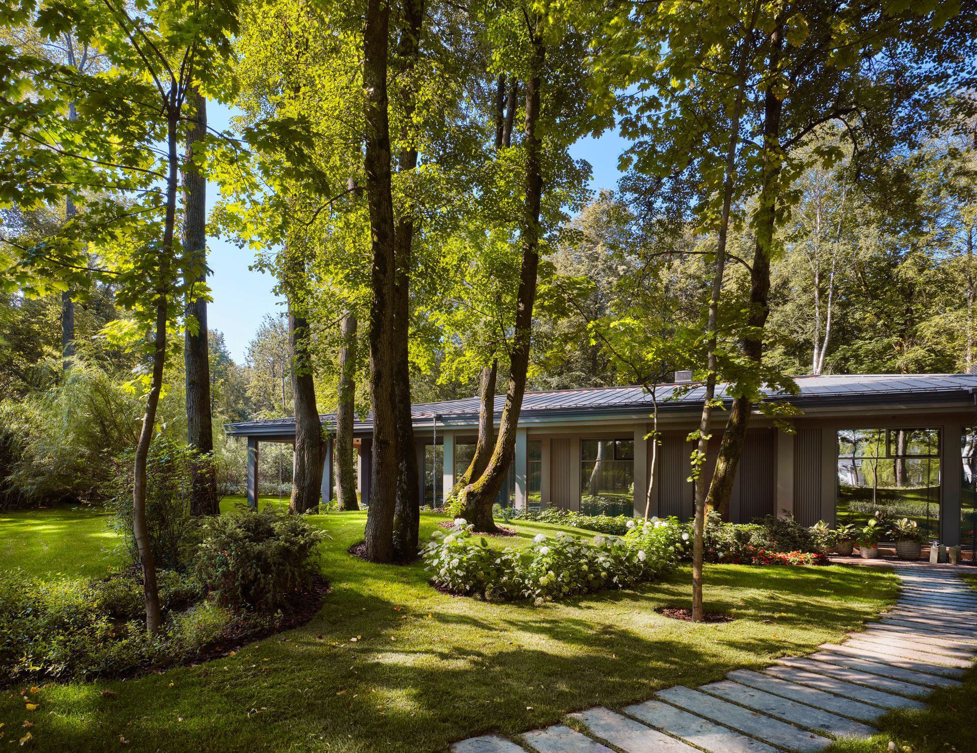 A house in the middle of a forest with trees surrounding it