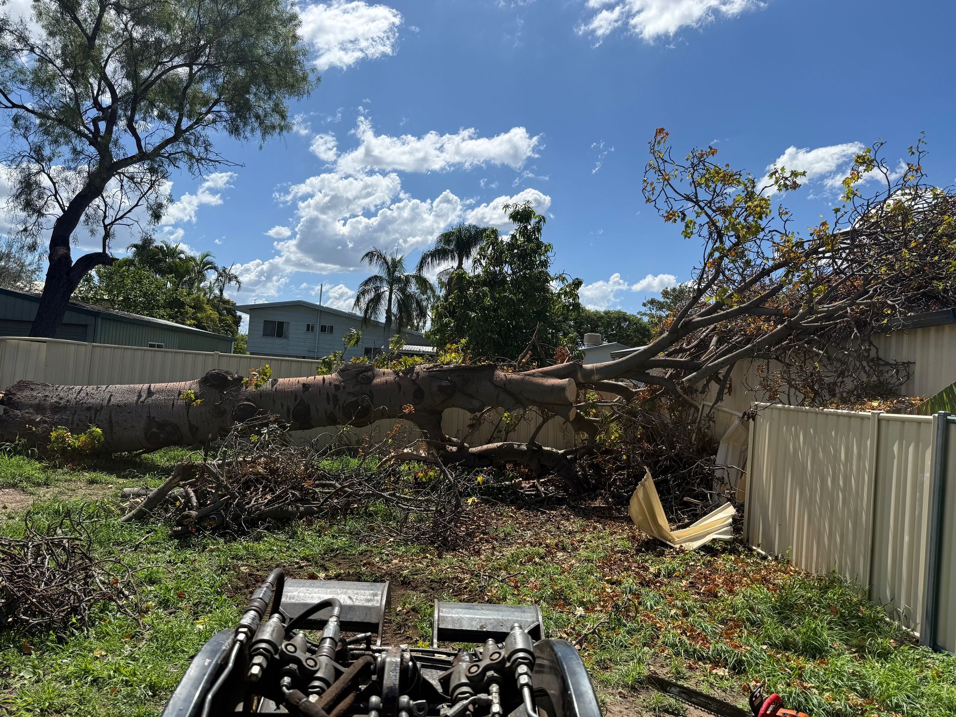 A large tree has fallen across a residential backyard fence, with heavy machinery visible in the foreground.