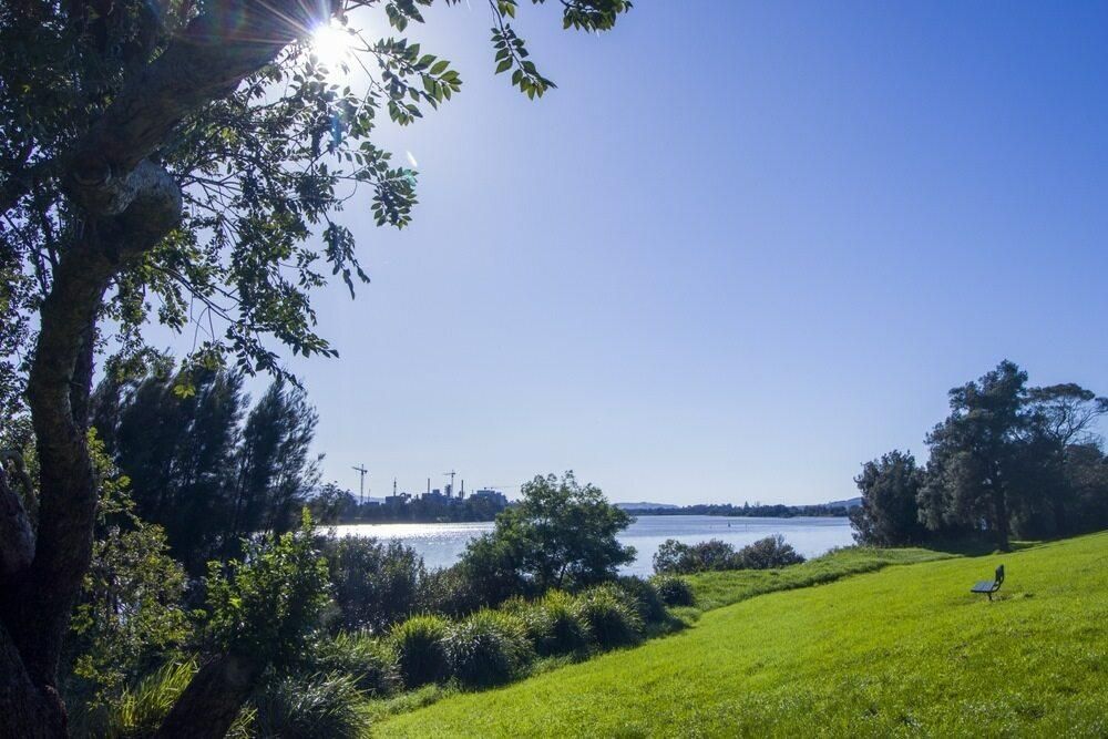 The Sun is Shining Through the Trees on a Sunny Day — Solarblu Pty Ltd in Bomaderry, NSW