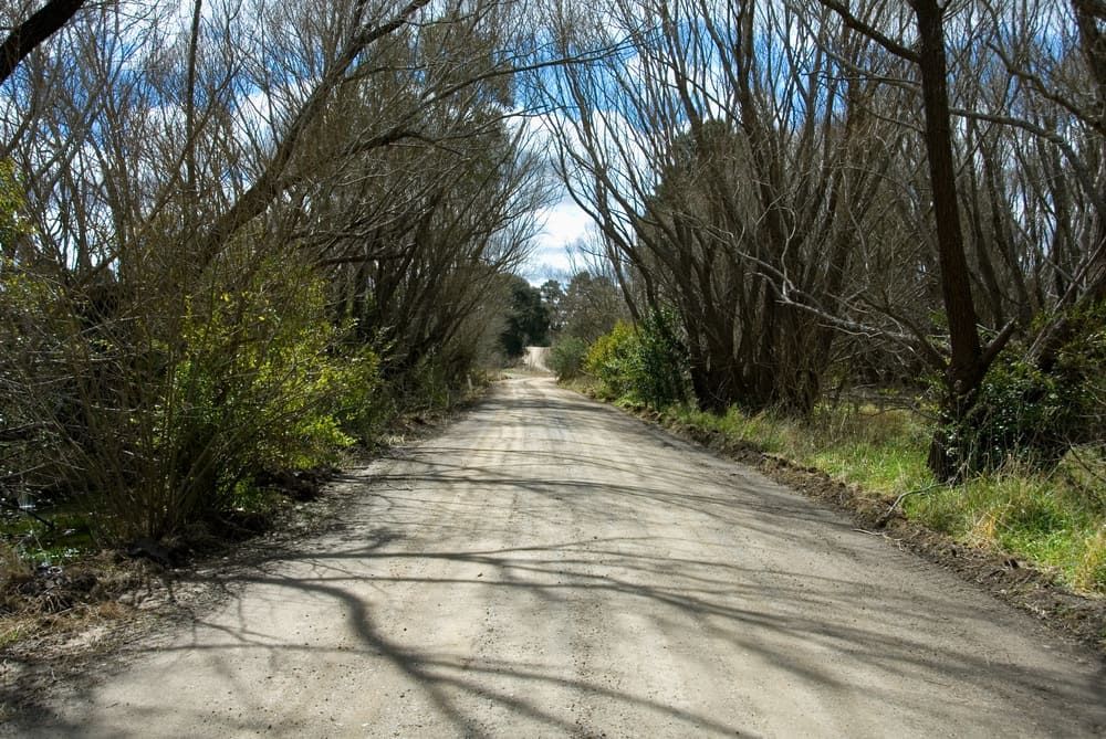 A Dirt Road Surrounded By Trees On A Sunny Day — Solarblu Pty Ltd In Moss Vale, NSW