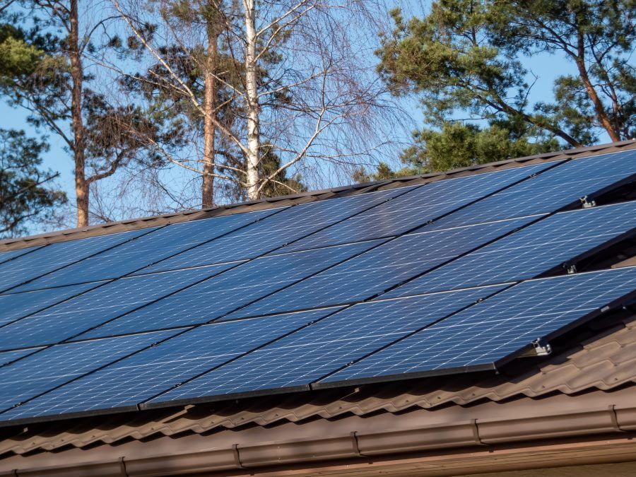 Solar Panels on Roof, Trees, Blue Sky — Solarblu Pty Ltd In Wollongong, NSW