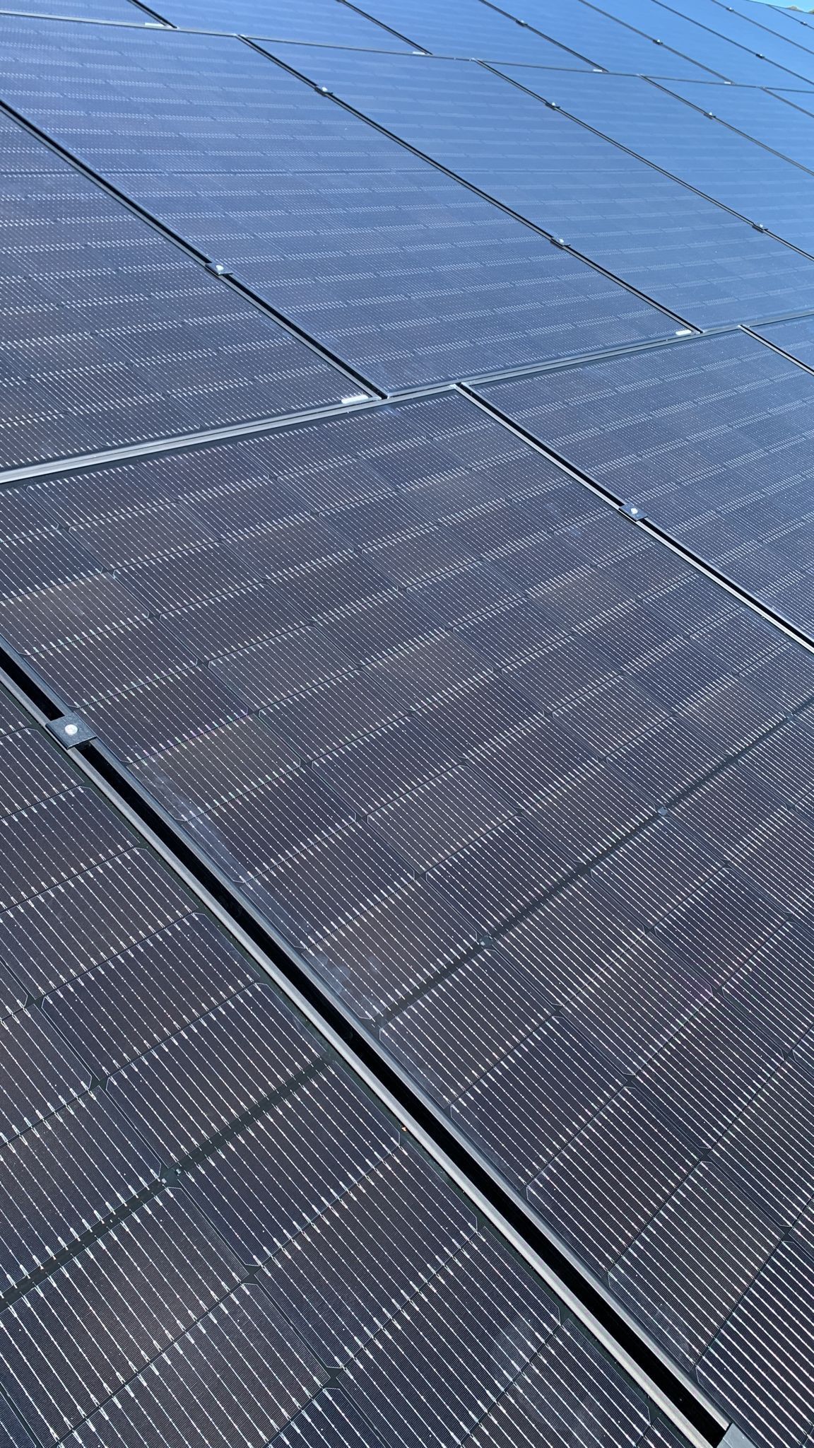 An Aerial View Of A Row Of Solar Panels In A Field — Solarblu Pty Ltd In Mittagong, NSW