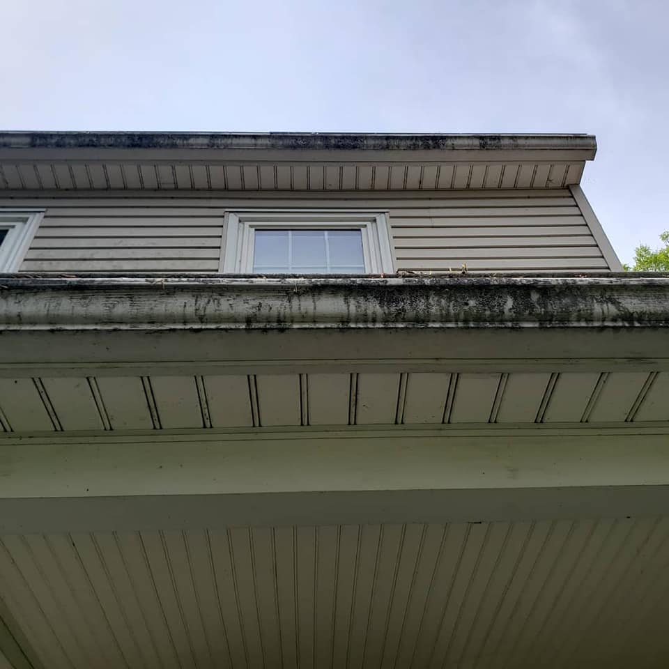 Roof cleaning festus