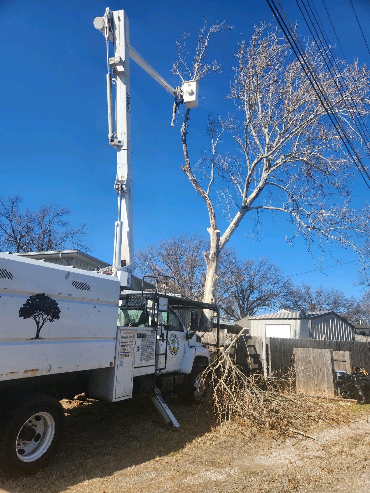 Tree Cutting Service Ponca City Affordable Tree Trimming