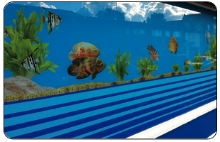 aquarium sticker displaying fish