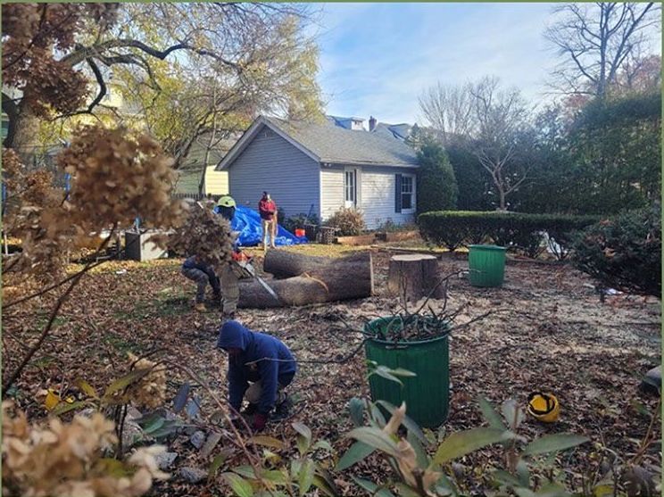 People working in a yard cutting up logs. A small house is in the background.