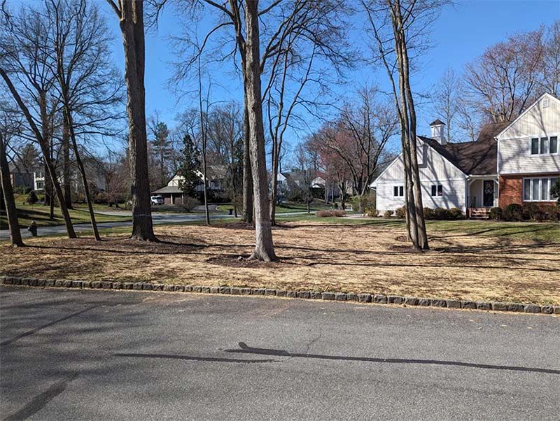 Street view of a cleared lot between houses. Brown and bare trees with a blue sky.