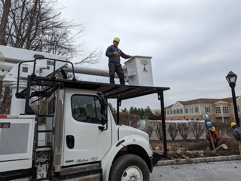 Man in hard hat on a tree service truck, working on branches near a building.