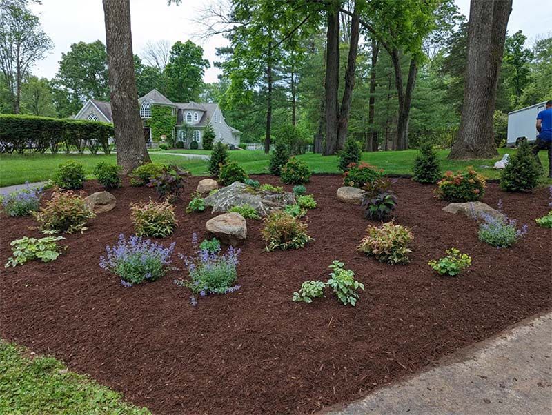 Landscaped garden bed with various shrubs, rocks, and mulch in front of a house.
