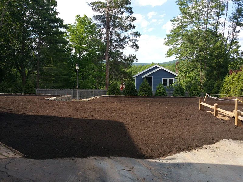 A freshly mulched yard with a blue shed in the background, trees surround the yard, and a wooden fence on the right.