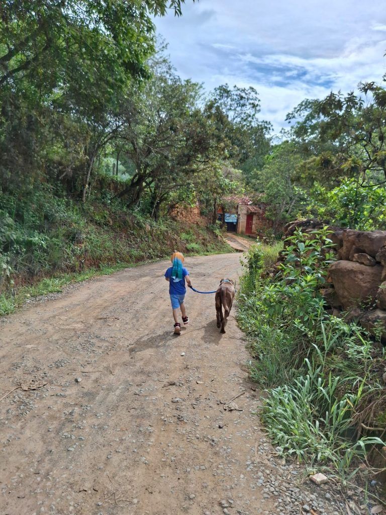 Caminata a Villanueva por Tierra Negra con Almuerzo y Experiencia de Helados
