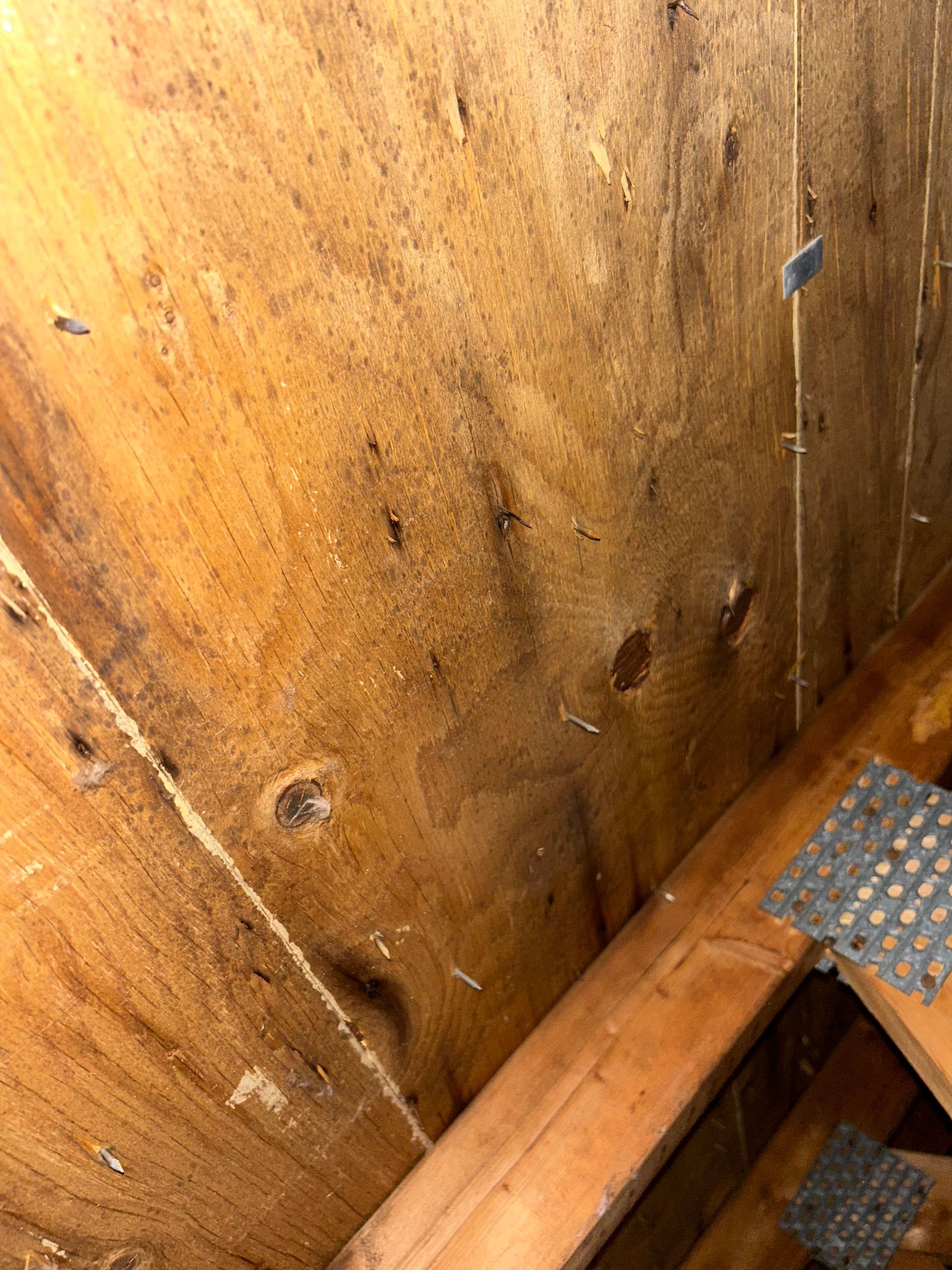 Un gros plan d'un mur en bois avec des clous dedans.