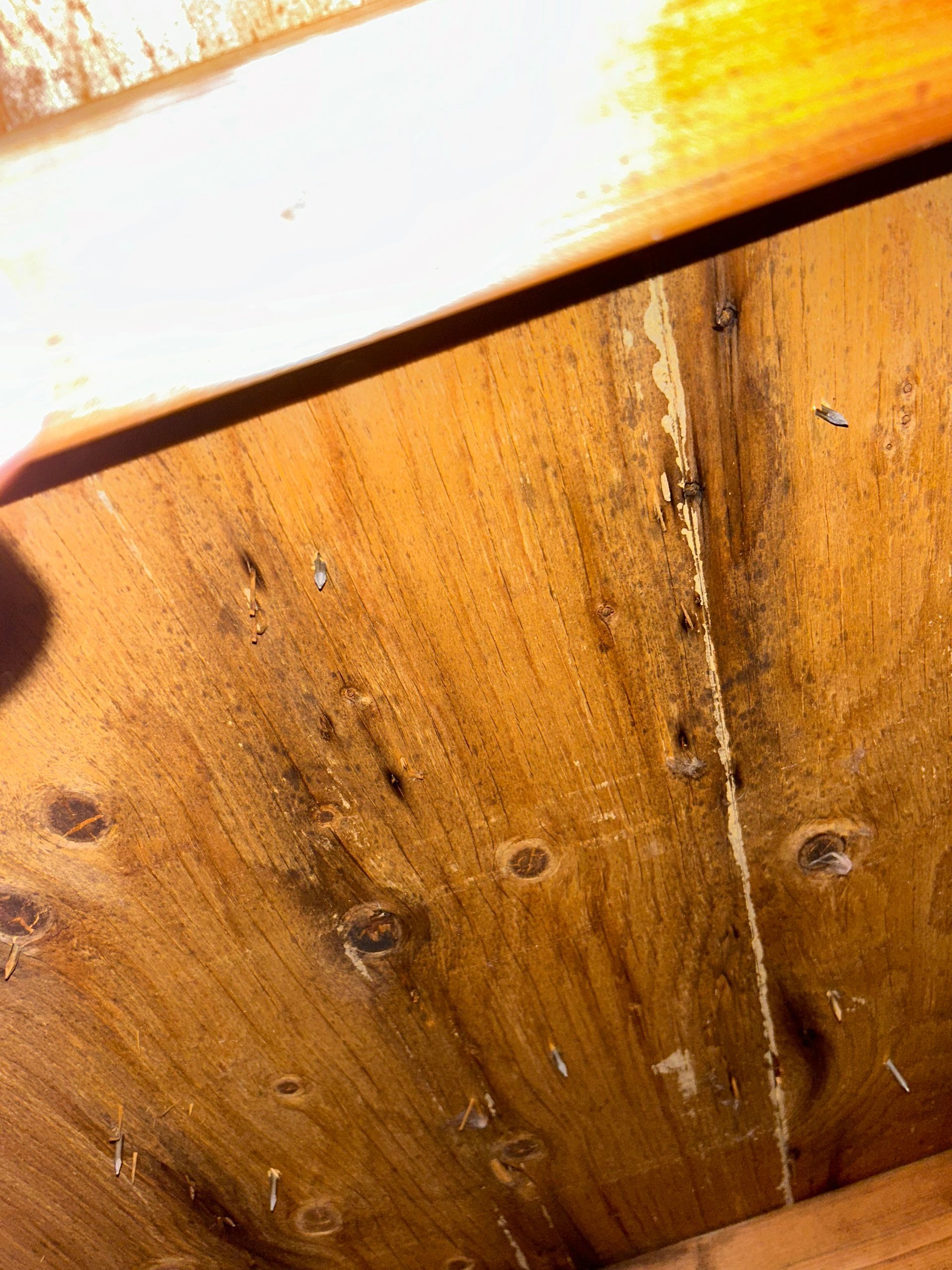 Un gros plan d'un plafond en bois avec des trous
