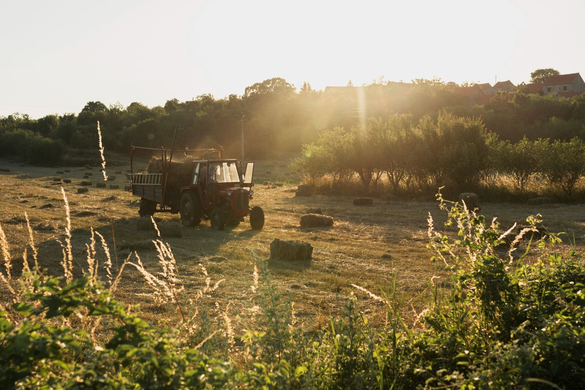 Tractor in a field at sunset, hay bales, trees, and bright sunlight.