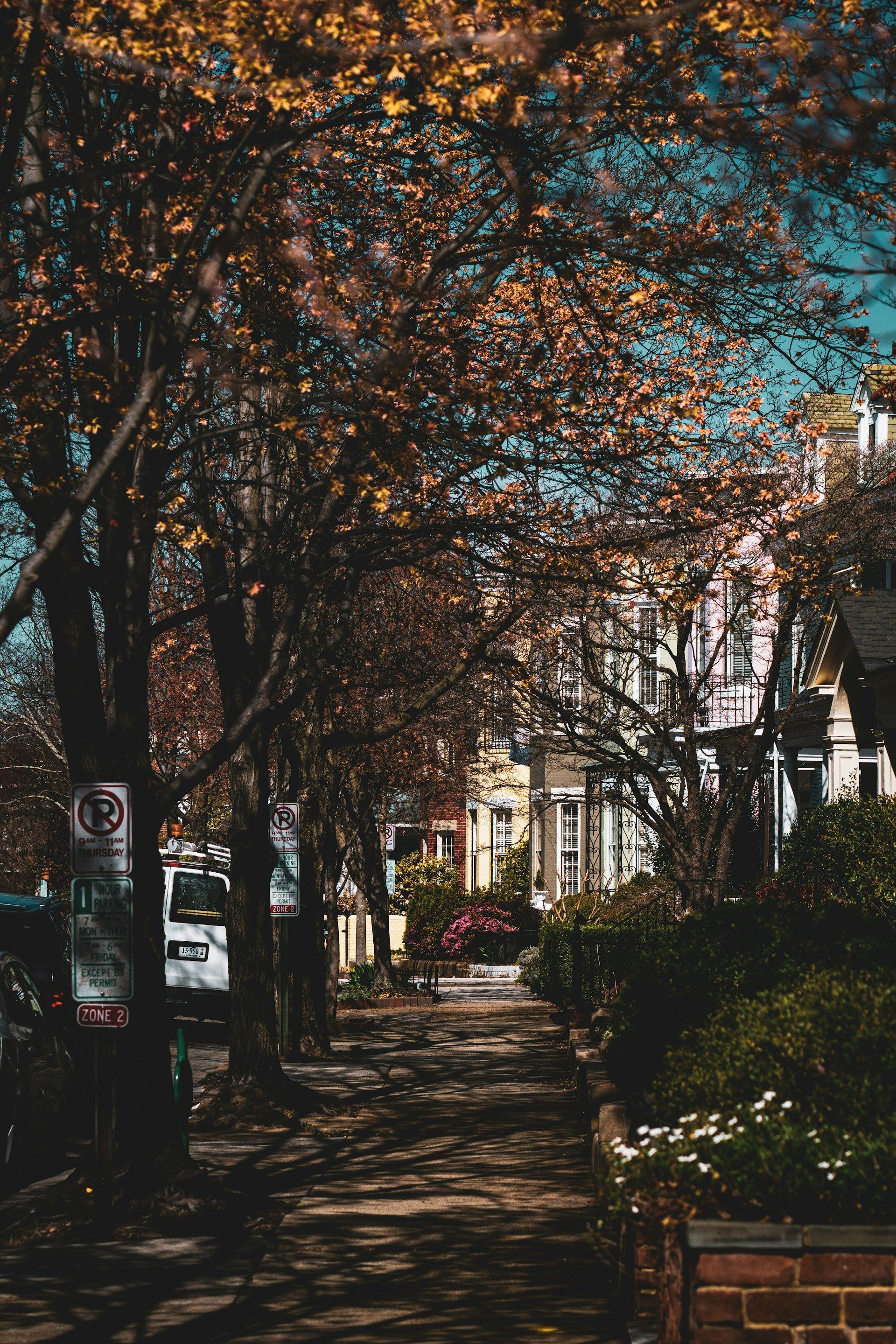 Tree-lined street with brick sidewalk and colorful houses under a blue sky; autumn foliage.