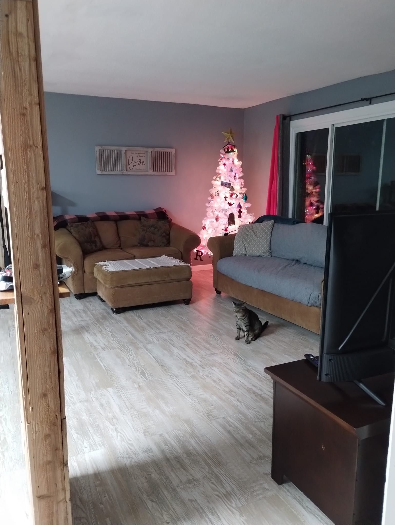 Living room with tan and blue sofas, lit Christmas tree, and cat on the floor.