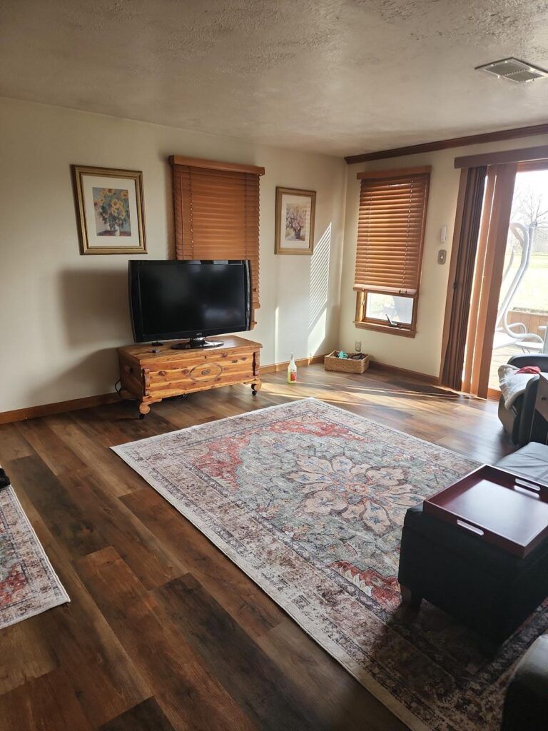 Living room with wooden floors, rug, TV on wooden console, and blinds.