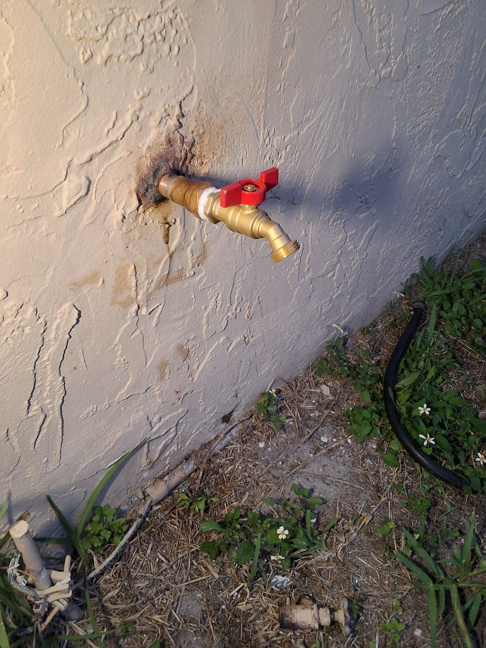 Red bird figurine mounted on a beige stucco wall near green plants and gravel.