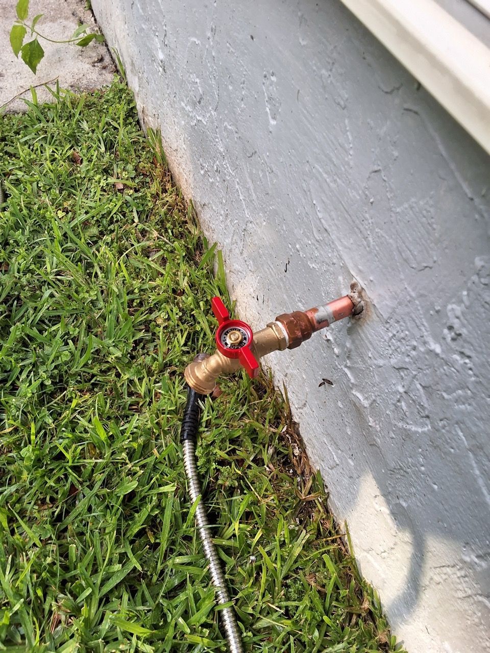 Outdoor water valve and hose connection next to a concrete wall and grass edge