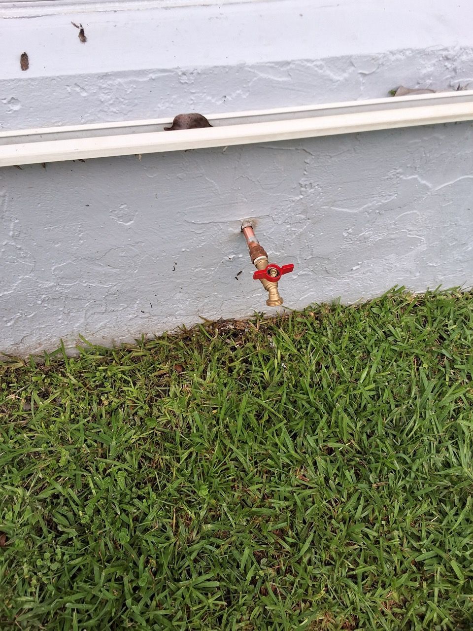 Small red garden ornament beside a white wall, with green grass in the foreground.